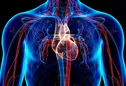 Adaptações Do Sistema Cardiorrespiratório