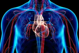 Adaptações Do Sistema Cardiorrespiratório